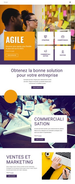 Services Aux Entreprises Informatiques – Thème WordPress