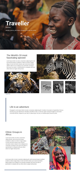 Responsive Web Template For Life Is An Adventure