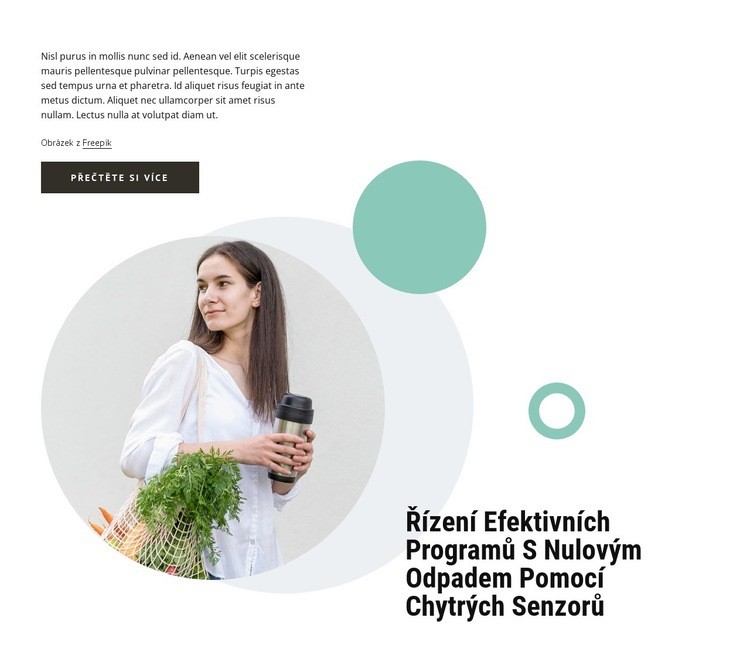 Zero waste programy Šablona webové stránky