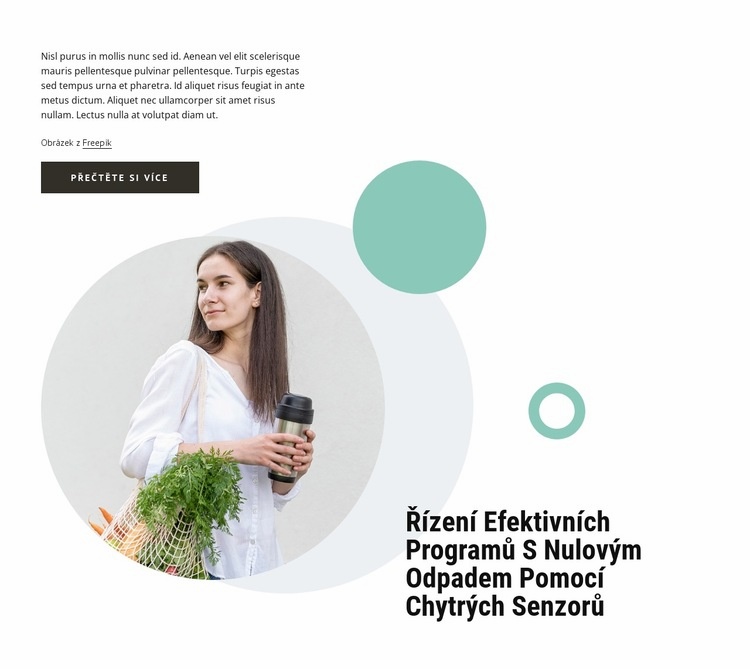 Zero waste programy Webový design