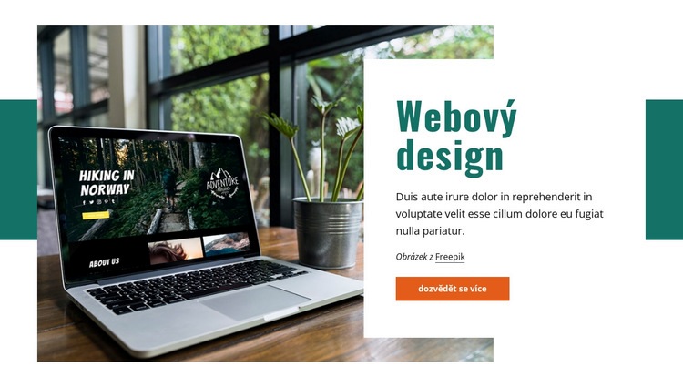 Funkční, interaktivní identita Webový design