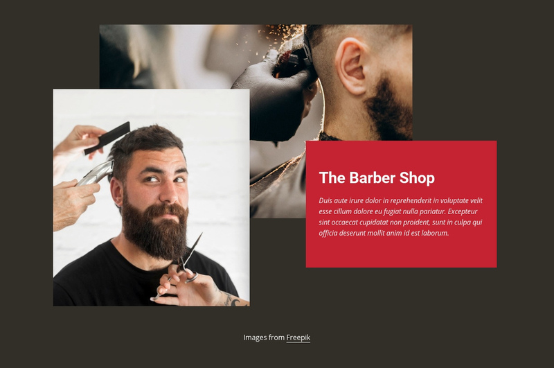 Barber fashion shop Elementor Template Alternative