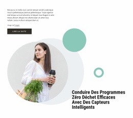 Conception De Site Web Pour Programmes Zéro Déchet