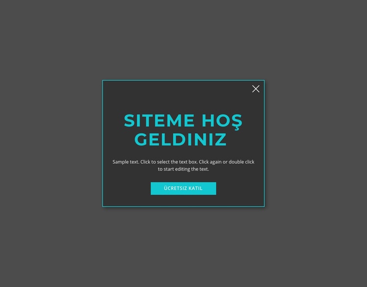 Hoşgeldin modal formu Web Sitesi Mockup'ı