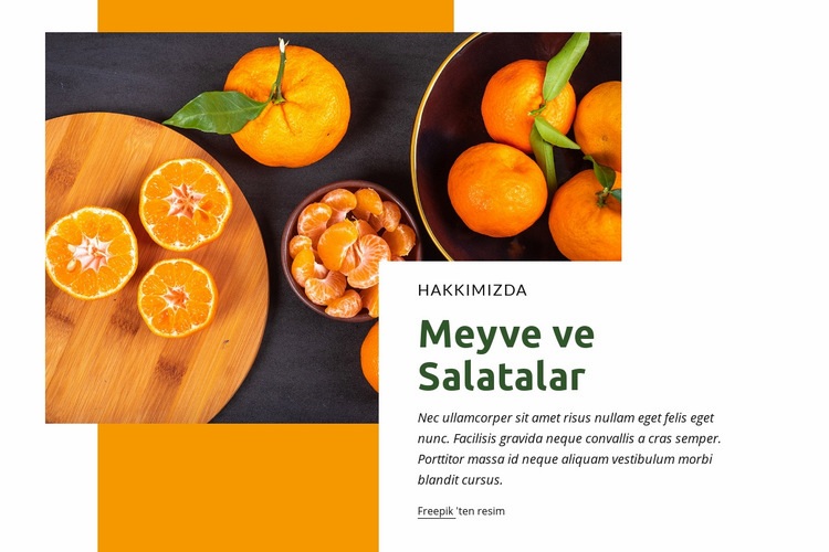 Meyve ve salatalar Web sitesi tasarımı