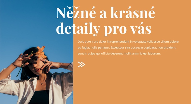 Krásné módní detaily Šablona HTML