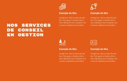 Conception Web Pour Services Consultatifs