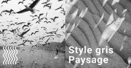 Fond De Style Gris - Site De Démarrage