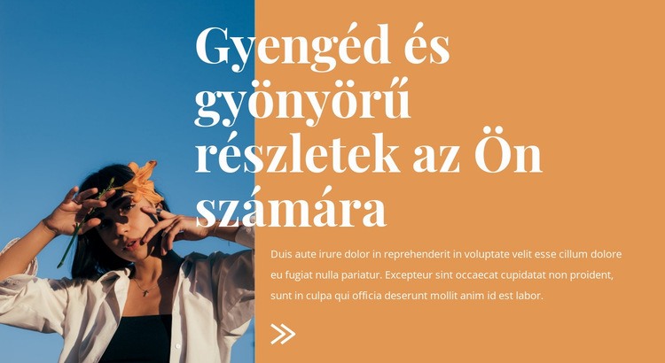 Gyönyörű divat részletek CSS sablon