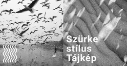 Szürke Stílusú Háttér – Webhelysablon Letöltése