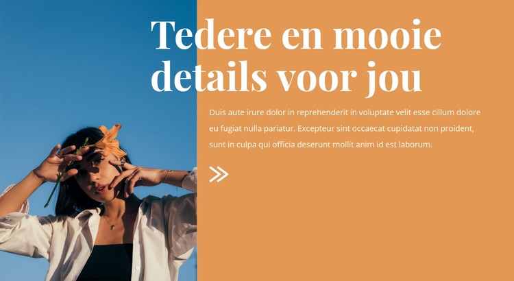 Mooie modedetails CSS-sjabloon