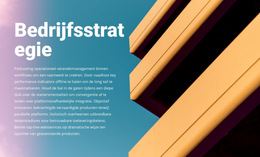 Nieuwe Bedrijfsstrategie