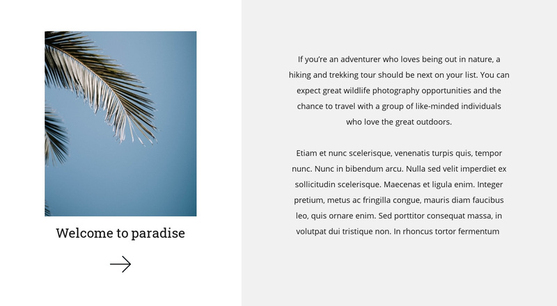 Welcome to paradise Squarespace Template Alternative