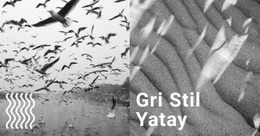 Gri Stil Arka Plan - Başlangıç Sitesi