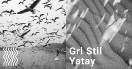 Gri Stil Arka Plan - Web Sitesi Şablonunu Indirme