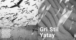 Gri Stil Arka Plan - Güzel Web Sitesi Tasarımı