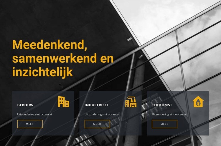 Grootschalige ontwikkeling Website ontwerp