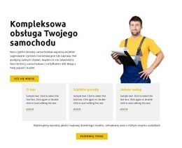 Twój Samochód Jest Pod Kontrolą - Twórca Strony Internetowej