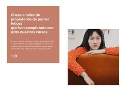 Un Diseño De Sitio Web Exclusivo Para Encuentra Tu Dirección