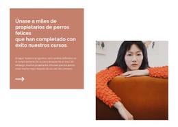 Encuentra Tu Dirección Plantilla CSS Premium
