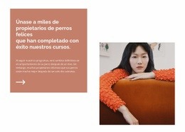 Plantilla HTML5 Multipropósito Para Encuentra Tu Dirección