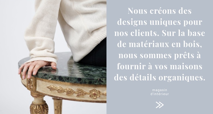 Design intérieur unique Conception de site Web