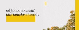 Barevné A Designové Trendy – Konečný Motiv WordPress