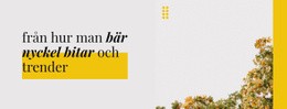 Färg- Och Designtrender - Gratis Mallar