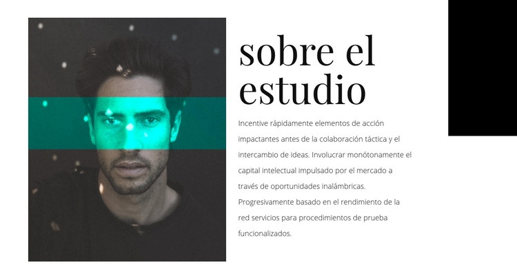 Acerca de agency studio Creador de sitios web HTML