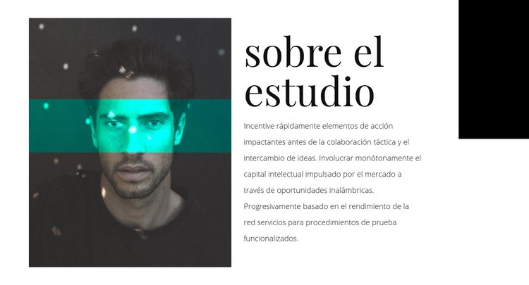Acerca de agency studio Maqueta de sitio web