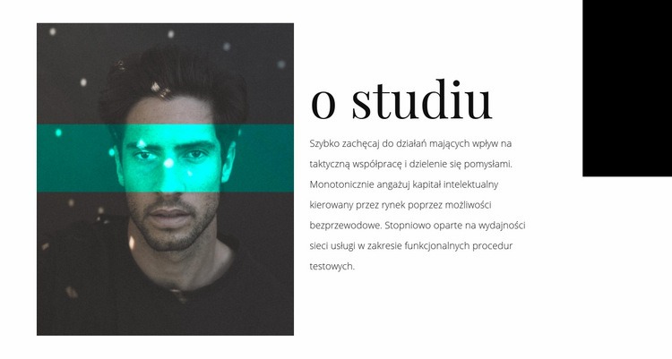 O agencji studio Projekt strony internetowej