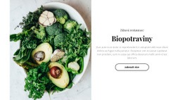 Restaurace S Biopotravinami – Jednoduchá Šablona Webu