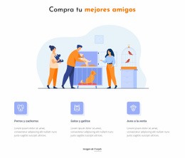 SEO De Página De Destino Para Tienda De Mascotas Y Animales