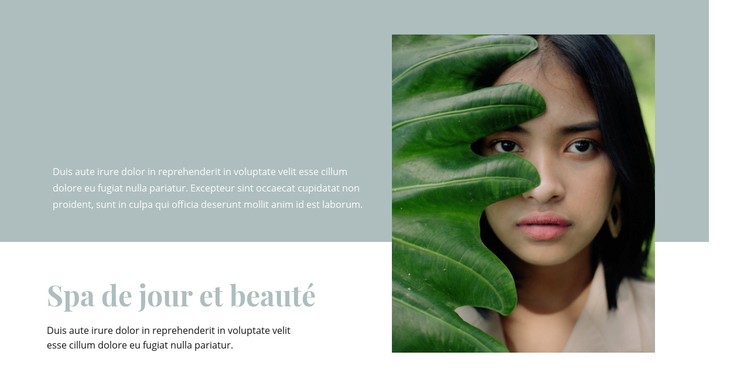 Spa et salon de beauté Modèle CSS