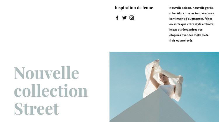 Nouvelle collection de rue Modèle de site Web