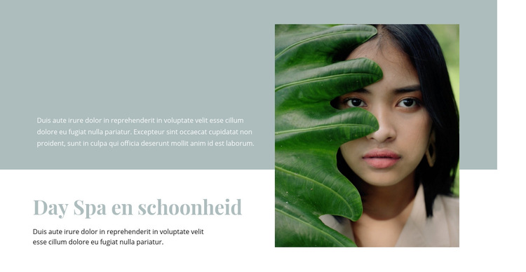 Spa en schoonheidssalon Website sjabloon