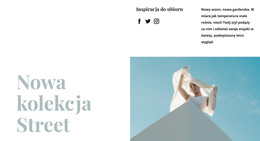 Nowa Kolekcja Uliczna - Niestandardowy Motyw WordPress