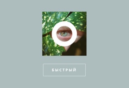 Зеленое Изображение С Кнопкой Шаблон Флексбокса