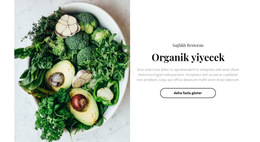 Organik Gıda Restoranı - Açılış Sayfası