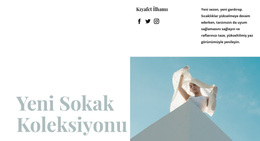 Yeni Sokak Koleksiyonu - Özelleştirilebilir Profesyonel WordPress Teması