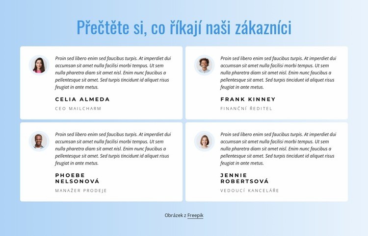 Co říkají naši zákazníci o naší práci Šablona CSS