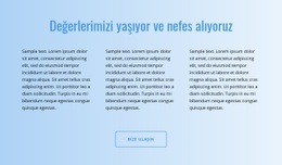 Gradyan Üzerindeki Metin - HTML5 Website Builder