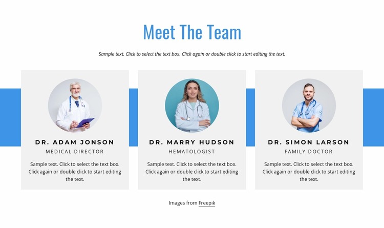 The healthcare team WordPress Website Builder