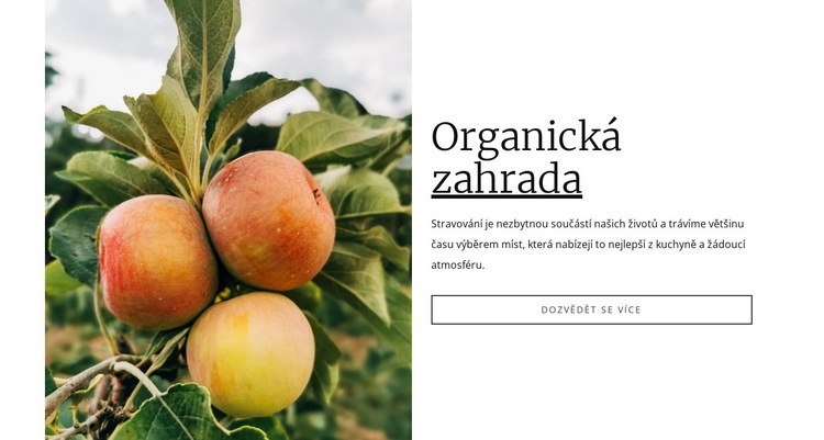 Organické zahradní jídlo Šablona webové stránky