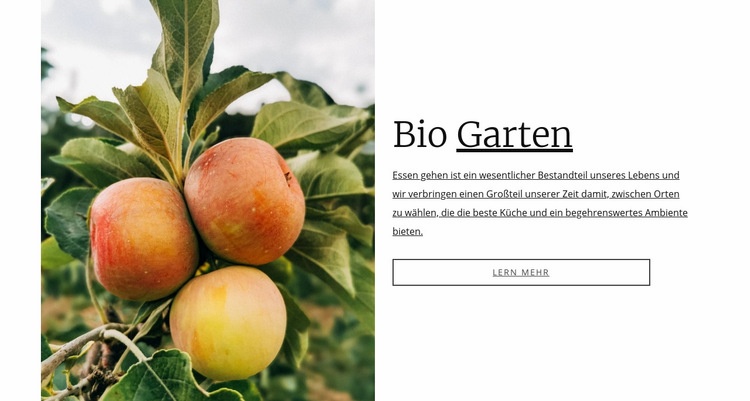 Bio-Gartenessen Eine Seitenvorlage