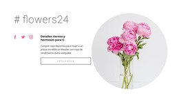 Flores Tienda De Belleza: Página De Destino HTML