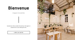 Studio D'Art Intérieur - Design HTML Page Online