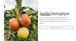 Modèle D'Une Page Le Plus Créatif Pour Nourriture De Jardin Biologique