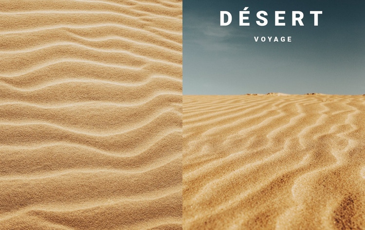 Voyage dans le désert Page de destination