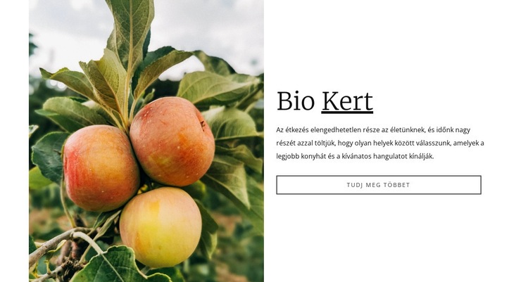 Bio kerti étel CSS sablon